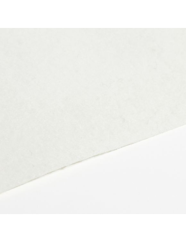 Roller carpet white
