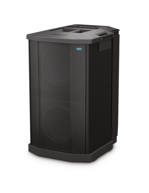 Bose F1 Subwoofer