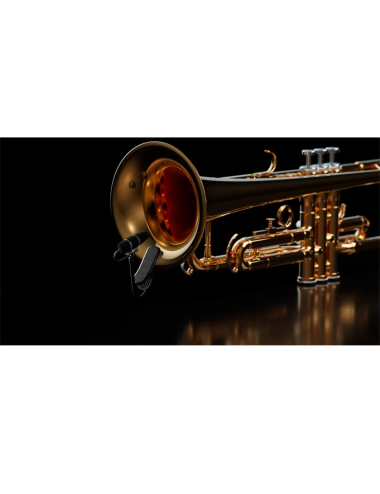 4099-DP-1-101-cm - Brass