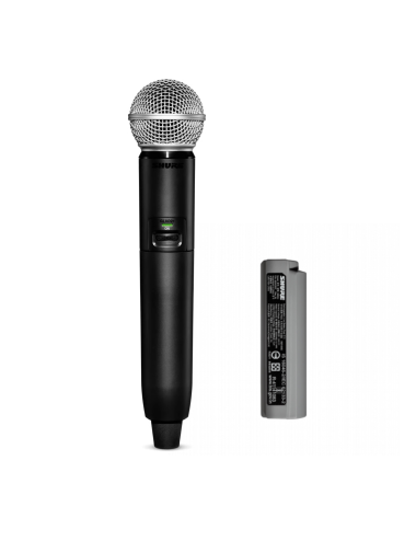 Shure GLXD24R+/SM58 Z4
