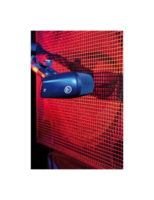 AKG P2
