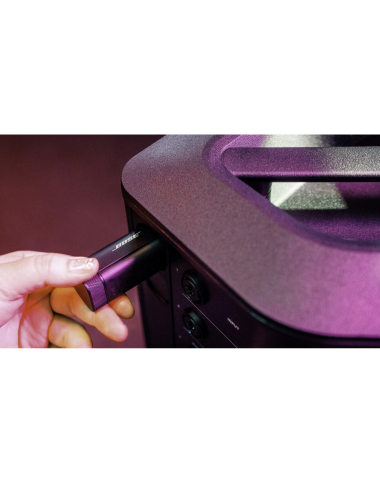 Bose S1 Pro + XLR Wireless Receiver Transmitter Connected