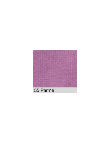 Brushed cotton Parma 55